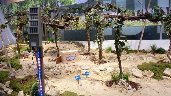 A ještě jednou internet věcí, tentokrát u Intelu – pomáhá pěstovat víno